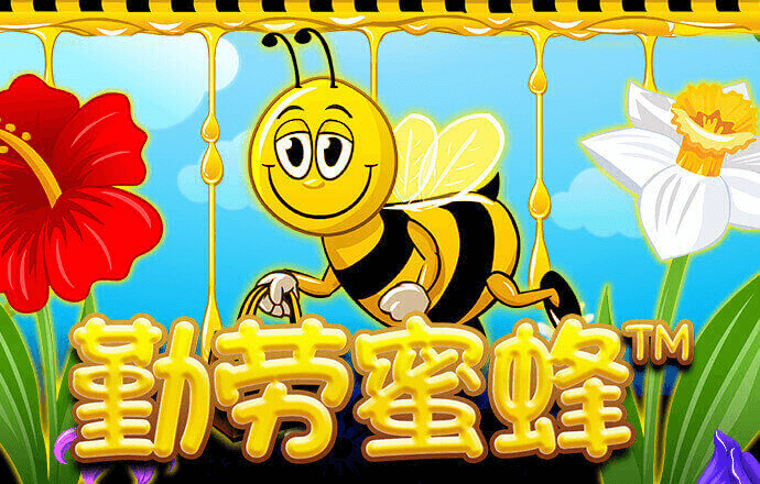 头头体育app下载